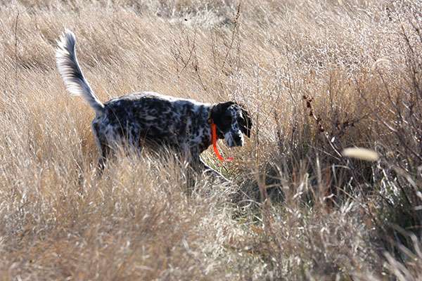 Annual Banquet Annual Banquet
